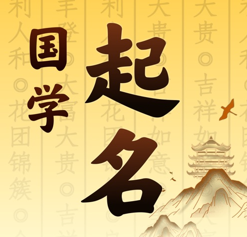 金水国学起名 人工起名一对一